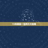 72年属鼠一生的三大劫难 72年属鼠50岁后命运