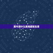 属牛跟什么属相最配生意，属牛的与什么属相在生意上最相配