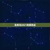 生肖马2021年桃花运，2021年有姻缘出现生肖
