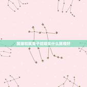 属猪和属兔子结婚生什么属相好，属猴兔和什么属相最配？