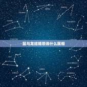 鼠与龙结婚忌讳什么属相，属鼠和属猴的结婚忌什么属相