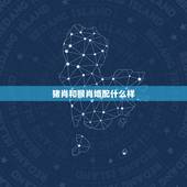 猪肖和猴肖婚配什么样，1983年属猪的人婚配和属猴人婚配吗
