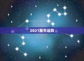 2021属牛运势，属牛的今年运势2021