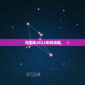 马生肖2022年的运程，78属马最难熬的年龄