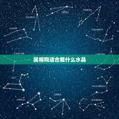 属相狗适合戴什么水晶，生肖适合带什么水晶