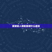 属猪鼠人婚配属相什么最佳，属相婚配表之属猪的和什么属相最配