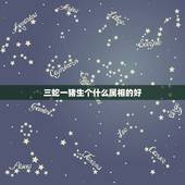 三蛇一猪生个什么属相的好，属蛇的和什么属相相冲