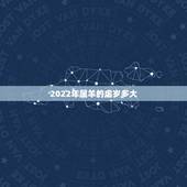 2022年属羊的虚岁多大，属羊的今年50几岁