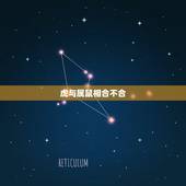 虎与属鼠相合不合，鼠和虎的属相合不合