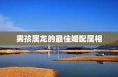 男孩属龙的最佳婚配属相，男属龙的和什么属相最配？