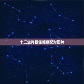 十二生肖最佳姻缘配对图片，十二生肖姻缘配对