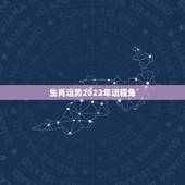 生肖运势2022年运程兔，2022年运势12生肖运势详解