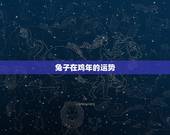 兔子在鸡年的运势，2011年兔年生肖属鸡的运程，详细些的，谢谢！