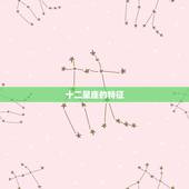 十二星座的特征，12星座具体特点