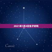 2021年1月4日生子好吗，2021年牛年不宜生子的属相是什么？