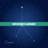 老虎生肖配什么属相最好，老虎生肖，匹配什么生肖最好呢？