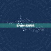 猴与猪的属相婚配，生肖猴和生肖猪配吗