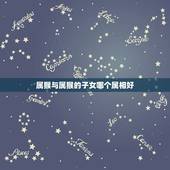 属猴与属猴的子女哪个属相好，属猪和属猴适宜生什么属相的孩子