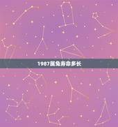 1987属兔寿命多长，63年属兔人寿命有多长