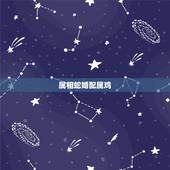 属相蛇婚配属鸡，生肖蛇能不能和生肖属鸡在一起啊