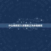 什么样的女人才能称之为水性杨花，那些女人杨花水性的女人，一般都具有什么