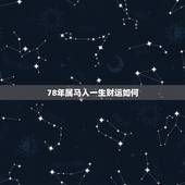 78年属马人一生财运如何，78年属马的今年财运如何。