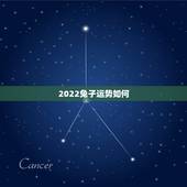 2022兔子运势如何，1963年属兔男2022年每月运程