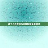 两个人的生辰八字算姻缘免费测试(介绍你们的缘分)