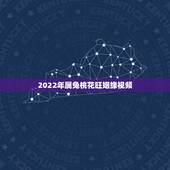 2022年属兔桃花旺姻缘视频，2022 年属兔的桃花运旺吗