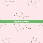 任属于五行属什么，“任” 字，五行属金，为什
