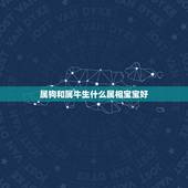 属狗和属牛生什么属相宝宝好，老公82年6月16属狗，我是85年11月2