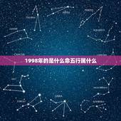 1998年的是什么命五行属什么，1998年阴历11月出生的金木水火土是