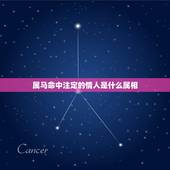 属马命中注定的情人是什么属相，属马人的性格，属马人的婚姻与命运，属马和