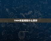 1984年鼠婚配什么更好，1984年是金鼠还是木鼠