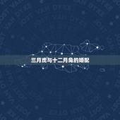 三月虎与十二月兔的婚配，男属虎生于十二月和女属兔生于三月婚配吗