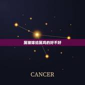 属猪嫁给属鸡的好不好，属兔和属蛇的婚配好不好