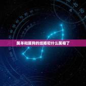 属羊和属狗的结婚犯什么属相了，属狗和属羊的结婚好吗？