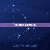 2021年养龟业的出路，养龟的前景？