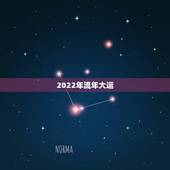 2022年流年大运，紫微斗数2022年流年运势