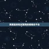 男属鼠的和女属狗的婚姻合不合，男属狗和女属鼠在一起有财运写