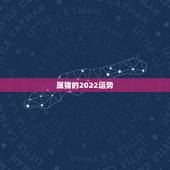 属猪的2022运势，属猪人2021年运势运程每月运程