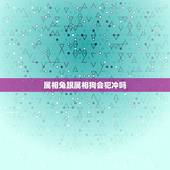 属相兔跟属相狗会犯冲吗，属狗的和属兔的合吗