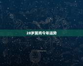 28岁属鸡今年运势，93年属鸡27岁以后交运