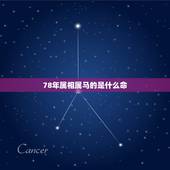 78年属相属马的是什么命，1978年属马是什么命
