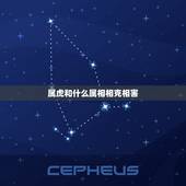 属虎和什么属相相克相害，属虎的相害生肖是什么