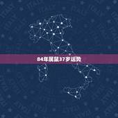 84年属鼠37岁运势，84年属鼠女的劫数