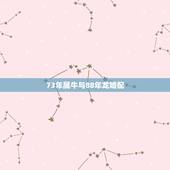 73年属牛与88年龙婚配，73 年属牛的和88年属龙的相配吗