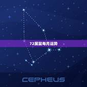 72属鼠每月运势，72年属鼠男2021年每月的运程