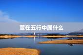 萱在五行中属什么，适合女生五行属木的字有哪