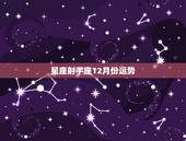 星座射手座12月份运势，2023年十二月二日射手座的星座运势好不好考试